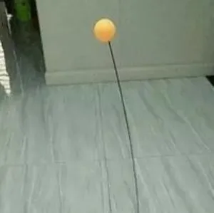Entraîneur De Tennis De Table